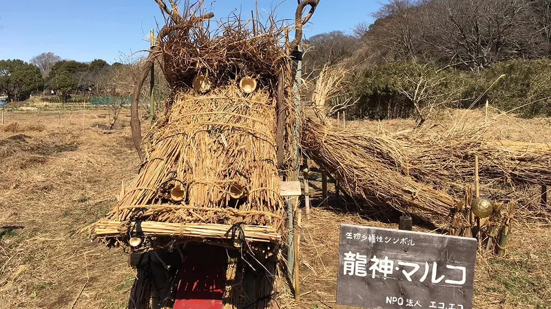 自然